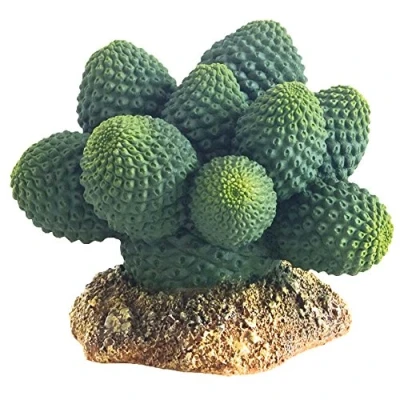 Imagen de Hobby 37018 Cactus Atacamma, Altura 7 cm