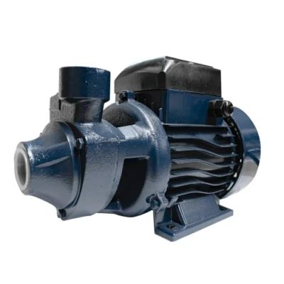 Imagen de Bricoferr BF0226 Bomba de agua (QB80, 0,75 kW)
