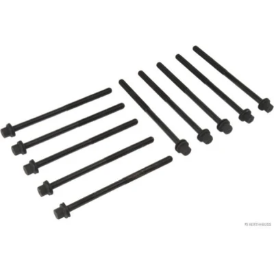 Imagen de HERTH+BUSS JAKOPARTS J1284014 Juego de Tornillos Culata Hexágono exterior 10