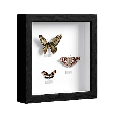 Imagen de EUGAD 3D Marco de Fotos con Profundidad 20x20cm, Objeto 3cm, Madera para Colgar en la Pared o Escritorio, Negro
