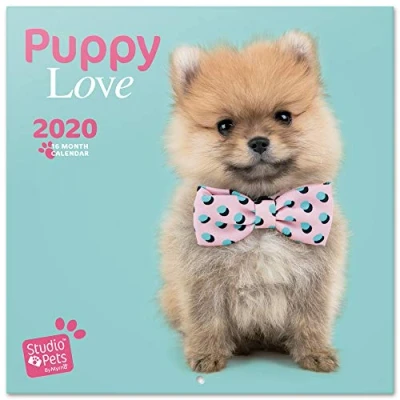 Imagen de ERIK Calendario de pared 2020 Studio Pets Puppies, 30 x cm