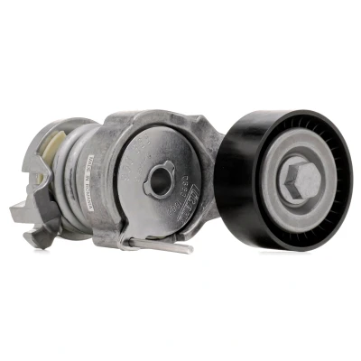 Imagen de SKF VKM 31220 Polea Tensora SEAT: Ibiza 3, Córdoba II Berlina, 4 Sportcoupe, VOLKSWAGEN: Polo IV Hatchback, V SKODA: Fabia 2