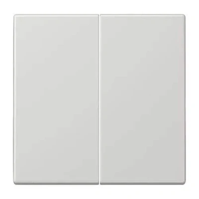 Imagen de JUNG LS995LG Tecla Doble, Duroplástico (Resistente Al Rayado) Brillante, Gris Claro