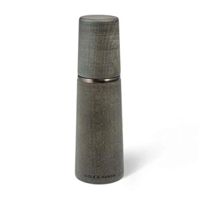 Imagen de Cole &amp; Mason H322021 Marlow Gris Molinillo de Sal, Precision+/Molienda Ajustable, Madera Haya Teñida, 185mm, Incluye 1 x Molino