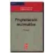 Imagen de Programacion Matematica (2ª Ed.)