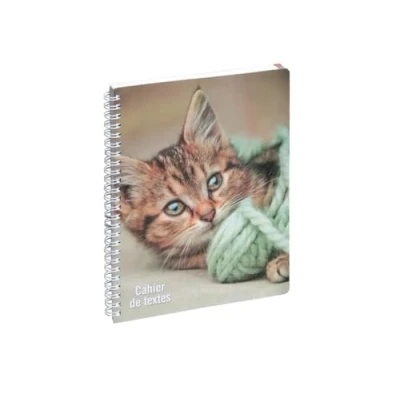 Imagen de EXACOMPTA 999169E Cuaderno de texto (17 x 22 cm), diseño gatitos