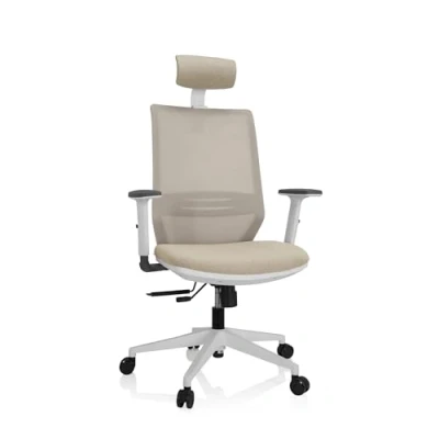 Imagen de hjh OFFICE 820027 Silla de Oficina Ergonómica Profondo Pro W Escritorio Malla con Soporte Lumbar Ajustable, Giatoria, Beige