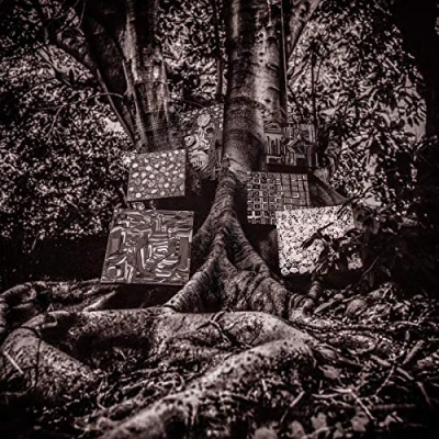 Imagen de Harmony Of Difference