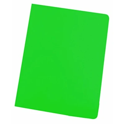 Imagen de Elba Gio 400040652 Pack de 50 subcarpetas simples, Fº, color verde