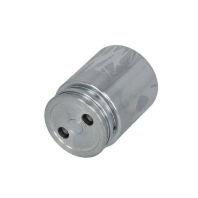 Imagen de AUTOFREN SEINSA D025251 Émbolo, pinza del freno 38 Eje trasero Ate VOLVO: V40 Hatchback, S40 II, FORD: Focus 2 Limousine, KUGA 2, RENAULT: MEGANE