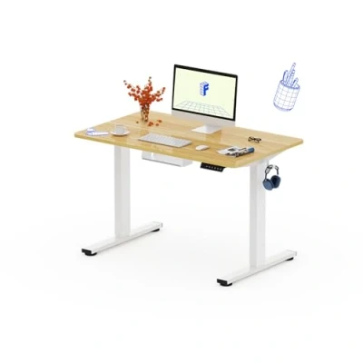 Imagen de FLEXISPOT 100X60cm Escritorio Elevable Eléctrico con Tablero Entero, Standing Desk, Mesa de 4 Opciones Memoria Inteligente para Oficina y Hogar(Arce)