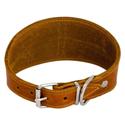 Imagen de JACK AND VANILLA, Collar para Lebro Perro, Modelo Piel Negrita, Color Coñac, Talla 37 cm