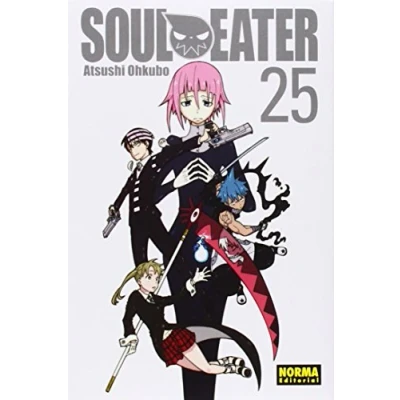 Imagen de SOUL EATER 25 último + cofre (SIN COLECCION)