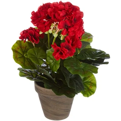Imagen de MICA Decorations Geranio Grande Planta Artificial, Poliéster Terracota, Negro, M/L
