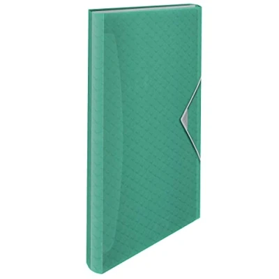 Imagen de Esselte Carpeta Clasificadora A4 Expansible, Organizadora con 5 Pestañas y 6 Compartimentos, Casa/Oficina, Patrón en Relieve, Gama Colour&#039;Breeze, Verde, 626253