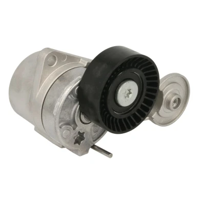 Imagen de INA 534 0047 10 Brazo tensor, correa trapecial poli V VOLVO: XC90 I, S60 I