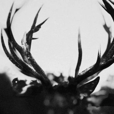 Imagen de Ihsahn