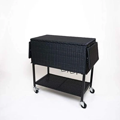 Imagen de carrito de servir, refrigerador, auxiliar, bebidas, refrigerador carro hielo, fiesta,