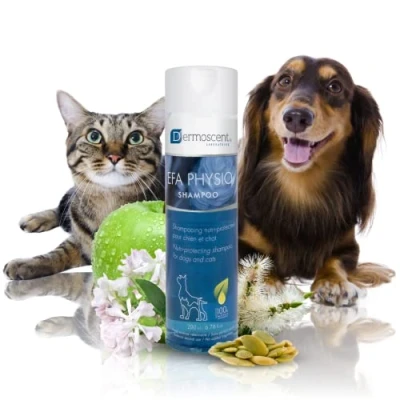 Imagen de Dermoscent 920 7229 EFA Physio CHAMPU