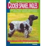 Imagen de Cocker Spaniel Ingles