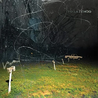 Imagen de This Stupid World [Vinilo]