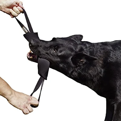 Imagen de Dingo Gear Remolcador para Entrenamiento de Perros