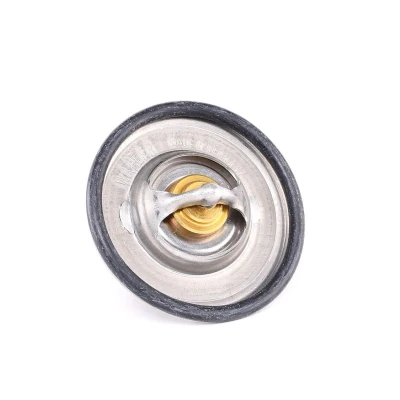 Imagen de WAHLER 3141.87D Termostato, refrigerante 87 con junta VOLKSWAGEN: GOLF 4, 6, Passat B5 GP Berlina, SEAT: Leon II Hatchback, I Hatchback