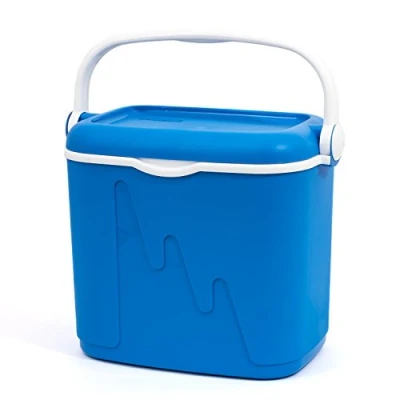 Imagen de Curver Nevera portátil con asa, Ideal para camping, playa, picnic, Capacidad 32 L, Color Azul