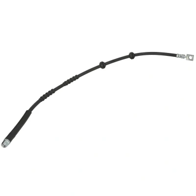 Imagen de Tubo flexible de frenos DELPHI LH7960