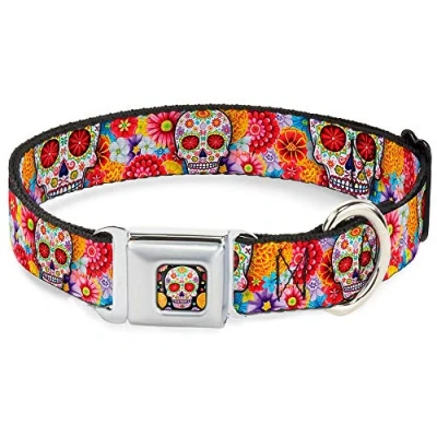 Imagen de Buckle Down 9 15 &quot;azúcar Calaveras Estrellas Blanco/Multi Color Collar de Perro