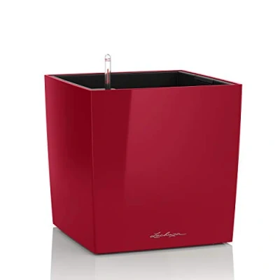Imagen de LECHUZA Cube Premium 30 Rojo Escarlata Muy Brillante 16467