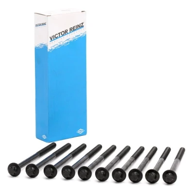 Imagen de REINZ 14 10398 01 Juego de Tornillos Culata Torx exterior BMW: 1 Cabrio, 3 Touring, Hatchback, MINI: Countryman, Hatchback norauto, oscaro,