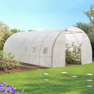 Imagen de Invernadero transparente de 6x3 m