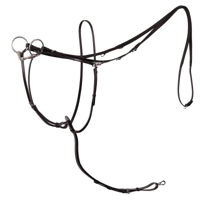 Imagen de BR Thiedeman Rein Lancaster Full / Plata Negro