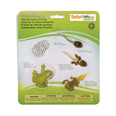 Imagen de Safari Ltd. Safariology Life Cycle Series Ciclo de vida una rana Figura juguete para niños y niñas A partir 3 años