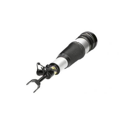 Imagen de Amortiguador telescópico neumático KAVO PARTS SAS 10011