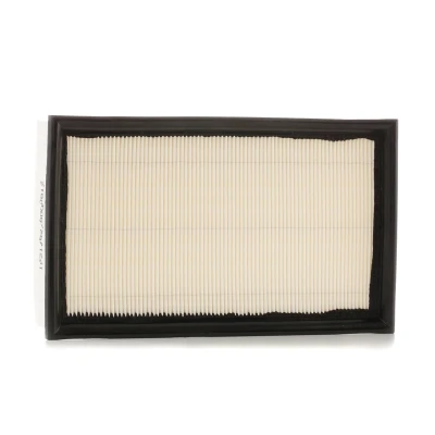 Imagen de FILTRON AP 074/6 Filtro de aire 57 171,5 281,5 Cartucho filtrante FORD: Focus C Max, 2, 2 Limousine, VOLVO: S40 II, C30, V50