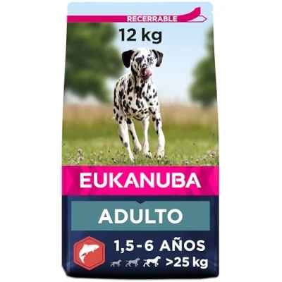 Imagen de Eukanuba Alimento seco para Perros Adultos Grandes, Rico en Salmón y Cebada, 12 kg