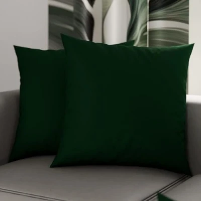 Imagen de PETTI ARTIGIANI ITALIANI Par de Fundas Almohada 45x45 cm, Pareja Funda Cojín Lisas Verde Esmeralda, 100% Microfibra Hipoalergénica, Made in Italy