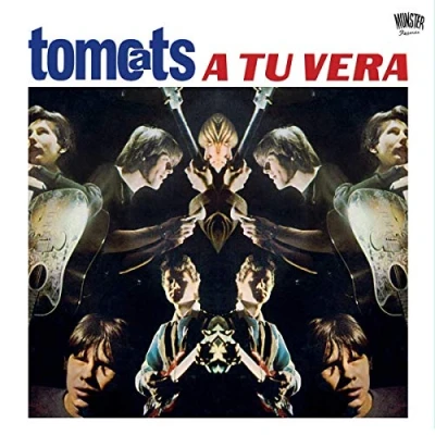 Imagen de A Tu Vera 2 Vinilos