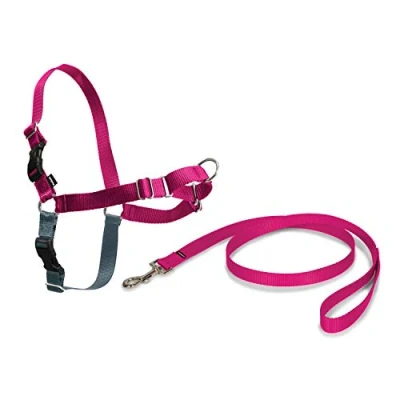 Imagen de PetSafe Easy Walk Arnés Antitirones para Perros, 4 Puntos de Ajuste, Adiestramiento Evita Asfixia, Fácil Poner y Quitar Frambuesa Grande, L