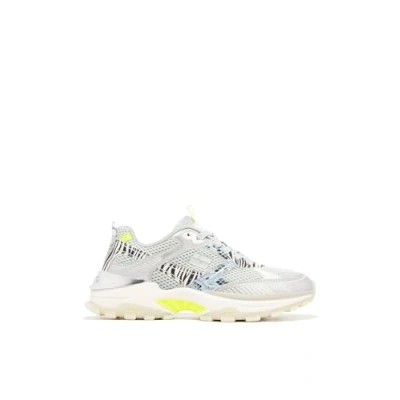 Imagen de D.Franklin Zapatillas de Vestir para Mujer Moda Casual Talla (37) Modelo 347 Sneaker Deportivas