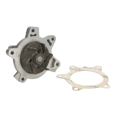 Imagen de INA 538 0559 10 Bomba de agua para accionamiento correa poli V TOYOTA: Auris Hatchback, Yaris II I Hatchback