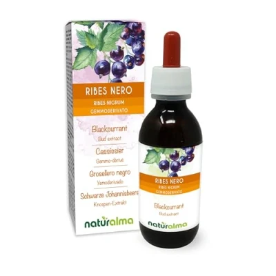 Imagen de Grosellero negro (Ribes nigrum) Yemoderivato sin alcohol de yemas frescas Extracto líquido gotas 120 ml Complemento alimenticio Vegano