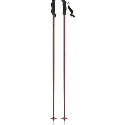 Imagen de Atomic Cloud Ski poles