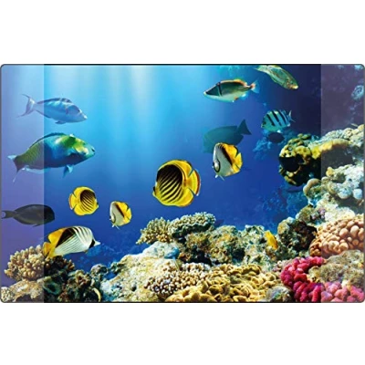 Imagen de Kangaro K 0014D115 Vade de escritorio (polipropileno, 38 x 58 cm), diseño acuario