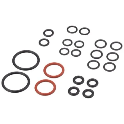 Imagen de Karcher Kit de juntas tóricas recambio 28843120