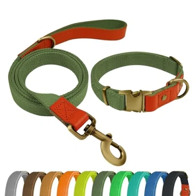 Imagen de Qianruida Collar y Correa Perro Conjunto de para Perros PequeñOs Medianos Grandes Verde Militar,XL