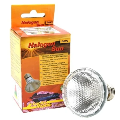 Imagen de Lucky Reptile Halogen Sun Paquete de 2 Calentador 50 W para portalámparas E27 Bombilla halógeno Reptiles Lámpara terrario con Espectro luz Diurna Calor Regulable