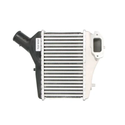 Imagen de THERMOTEC DA4004TT Intercooler